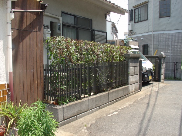 生垣のメンテナンス（生け垣　剪定　植木の剪定　薬剤散布　除草）大阪府大阪市旭区