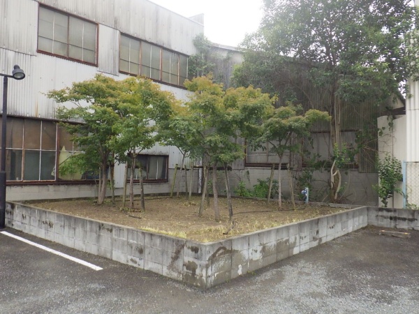 駐車場内の植え込み50㎡などの「草刈り」を1人1日で実施した事例｜大阪府大阪市都島区T様