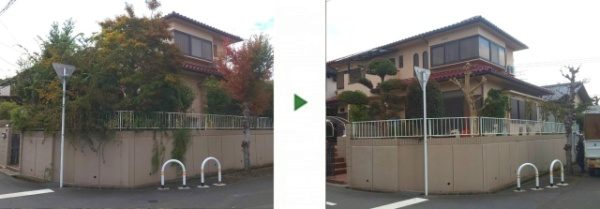 クロガネモチやマキなど4種の庭木を剪定した事例　大阪市此花区K様