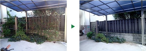 ガレージに植えているレッドロビンの伐採～京都府京都市北区～