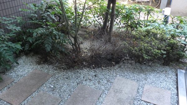 マンション中庭植栽工事｜何回も枯れるので違う植木を提案　大阪府大阪市鶴見区のマンション