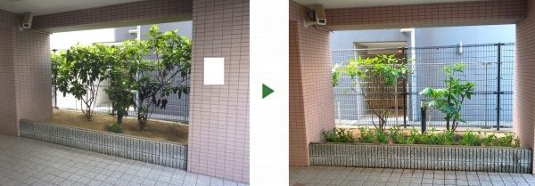 大阪市鶴見区 サルココッカを植栽した事例