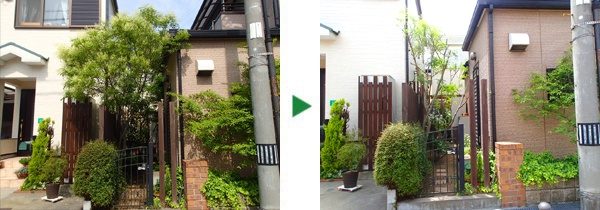 サクラ・ウメ・サザンカの剪定～大阪府東大阪市～
