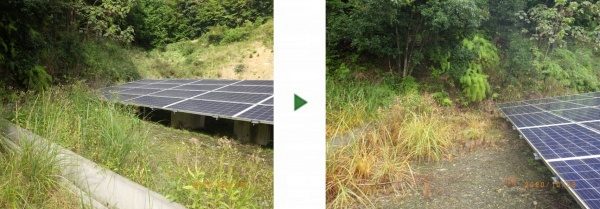 ソーラーシステム一帯の土地12,000㎡に除草剤散布　京都府亀岡市