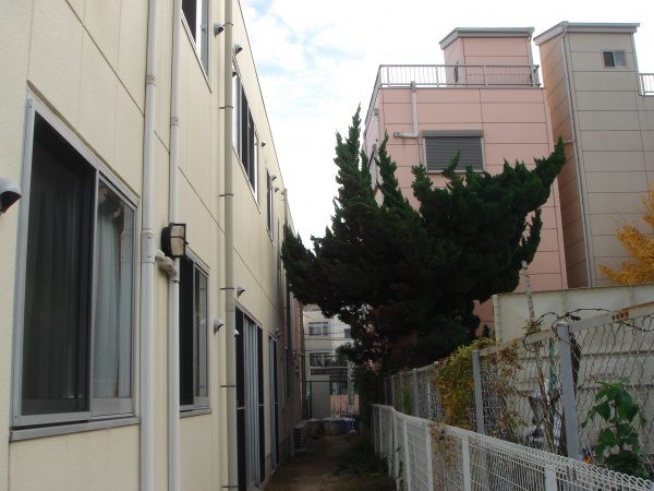 奈良市植木剪定作業後1