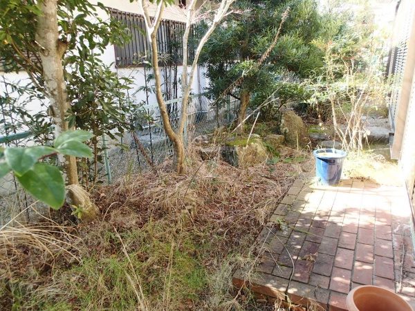 奈良市植木剪定作業前１