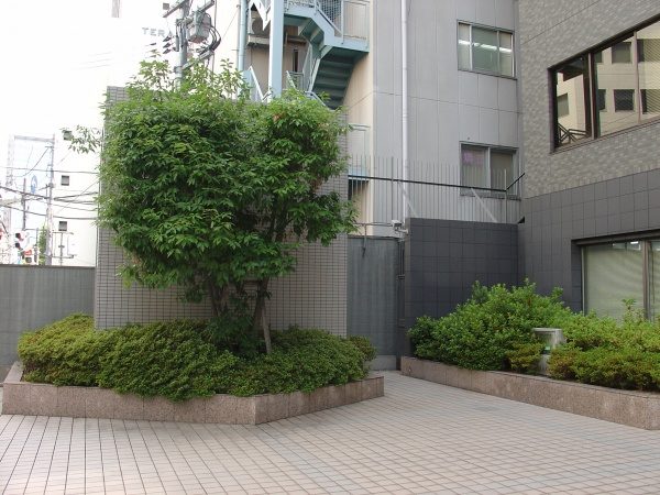 植木剪定