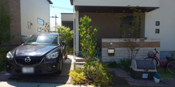 高槻市でソヨゴを植栽したの事例 施術後