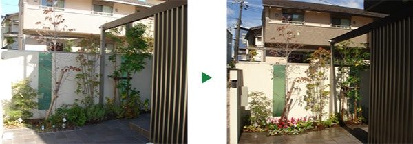 ハナミズキの剪定と冬用に花壇植栽 ～大阪市阿倍野区～