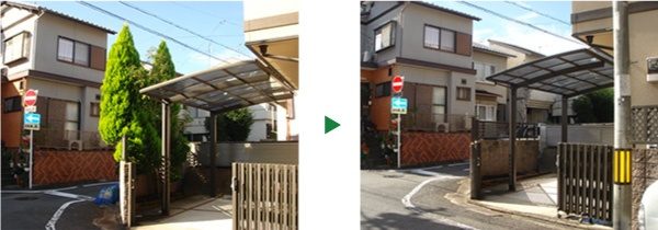大きくなりすぎたゴールドクレストの抜根～京都府京都市北区～