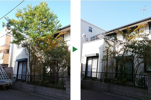 塀のブロックを押している庭の植木の伐採　大阪府豊中市