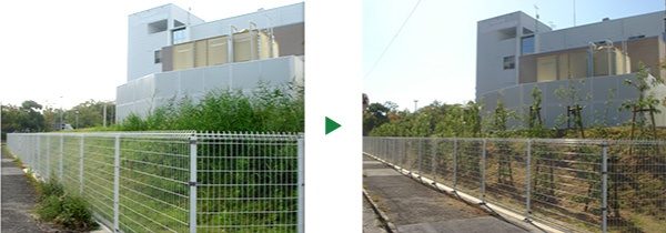 新社屋にシラカシを植栽～大阪府枚方市～