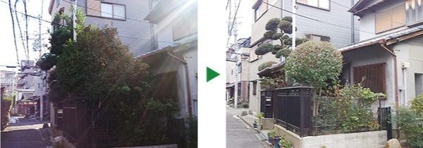 新年に向けて…玄関の植木の剪定　大阪市旭区