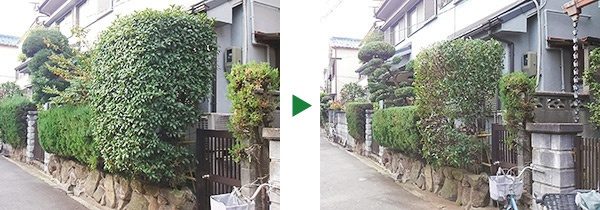 車道に沿った、庭の植木の剪定　大阪市旭区