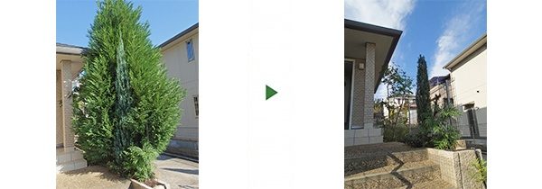12-before-after