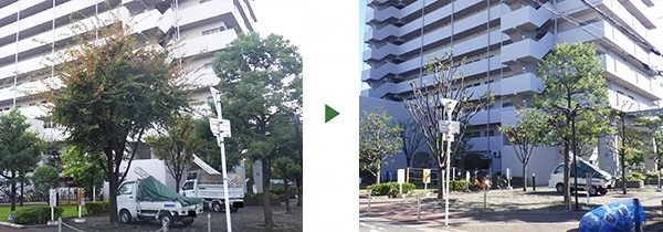 13-before-after
