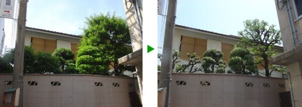 庭全体のメンテナンス（庭木の剪定、薬剤散布）大阪府大阪市旭区