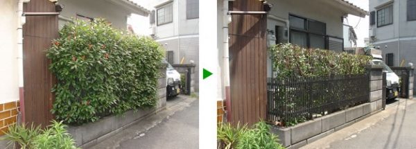 生垣のメンテナンス（生け垣　剪定　植木の剪定　薬剤散布　除草）大阪府大阪市旭区