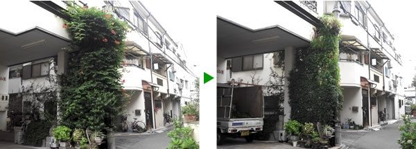 マンションの植木のメンテナンス　大阪市旭区