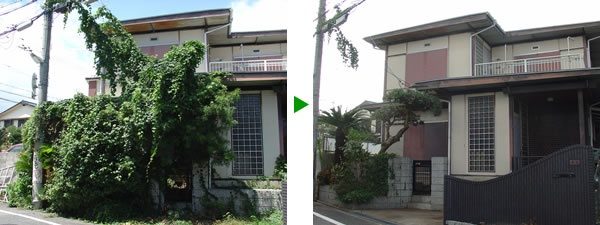 伸び放題になったツル植物の除草＜配線にまで絡まった事例＞〜空家の庭の剪定　大阪府箕面市