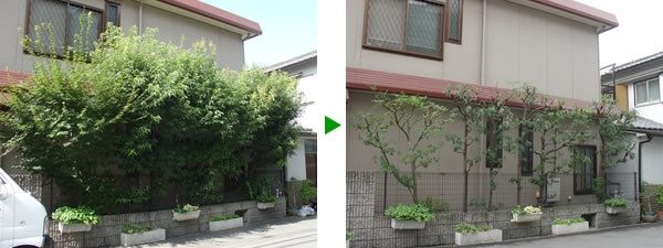 定期メンテナンスを植木屋に任す利点　大阪市旭区