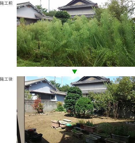 ＜草刈＞植木が見えなくなるほどうっそうと茂る雑草の草刈り　松原市