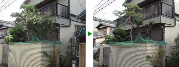 大阪市旭区　年１回 お庭のメンテナンス（松　ウバメガシ　ヒラドツツジ 他）