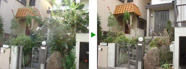 強風対策・台風対策で行う植木の採伐と剪定　豊中市
