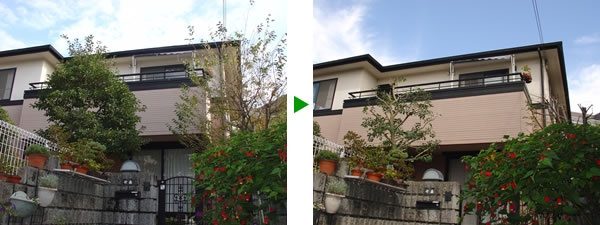 庭木の年間管理　～【秋】高木のメンテナンス　大阪府吹田市