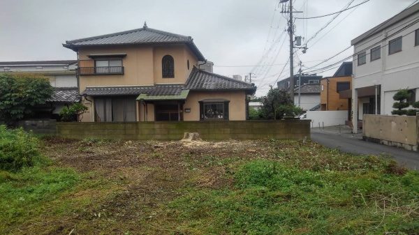 阪南市伐採After