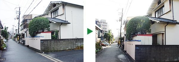 年1回のキンモクセイの剪定～大阪府摂津市～