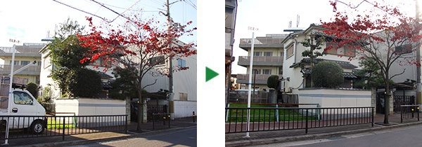 ホームページからの新規のご依頼～高槻市にて植木の剪定～大阪府高槻市