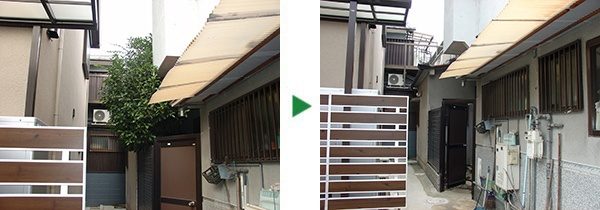 3ｍのキンモクセイの伐採～兵庫県伊丹市～