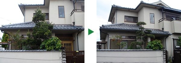 樹形の崩れたマキやサザンカなどの剪定～奈良県奈良市～