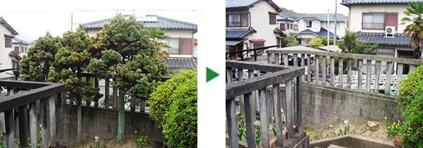 蜘蛛の巣にお困りのお客様から、伐採のご依頼　奈良県奈良市