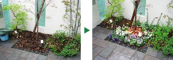 花壇へ花の植栽のご依頼～宿根イベリス、マリーゴールドなど～大阪市阿倍野区