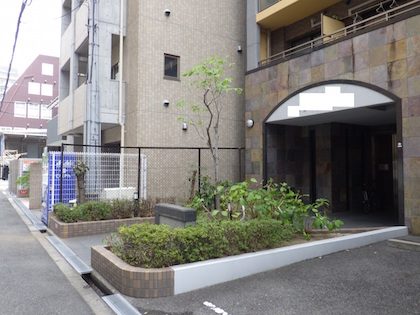 植木剪定後