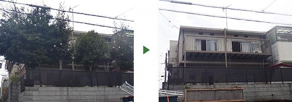 近所の迷惑になっていたモチノキなどを伐採　大阪府寝屋川市