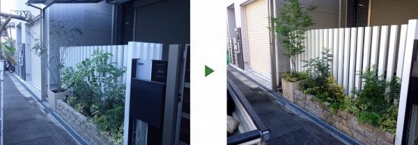 ご自宅の庭をギルドエッジやセイヨウイワナンテンで華やかに植栽　大阪市淀川区