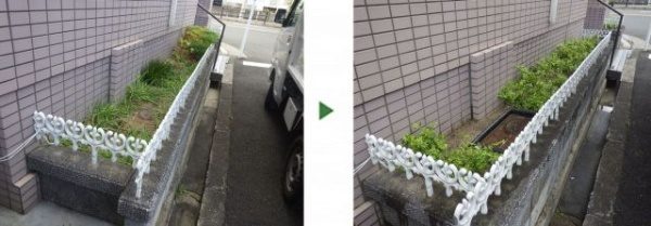 アベリアホープレイズを植栽した事例 ビフォーアフター