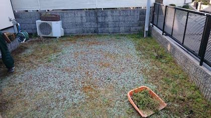 芝張り前