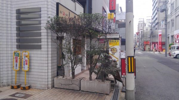 レッドロビン 植栽前