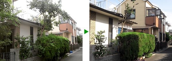 大阪府大東市のお庭の剪定(植木剪定)