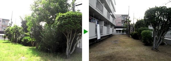 大阪市都島区　社宅のお庭の草刈りと植木剪定