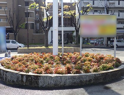 植栽工事オタフクナンテン