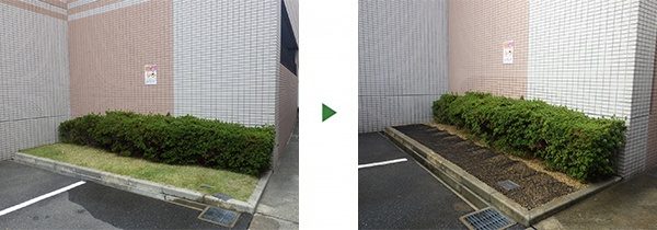 マンション花壇の猫対策｜芝生に猫が集まるのを防ぎたい　大阪府大阪市城東区