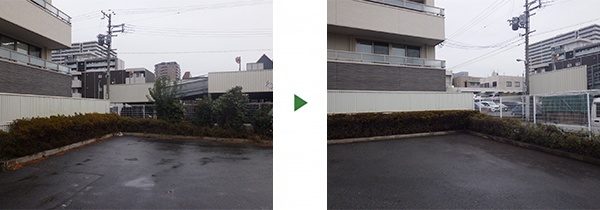 会社の駐車場の植え込みに勝手に生えた木を切ってほしい　大阪市城東区