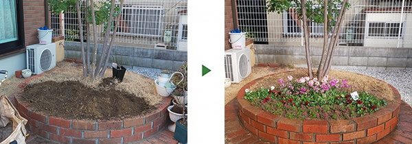 花壇の芝生を花に植え替え｜玄関周りが地味なので明るくしたい　大阪市天王寺区