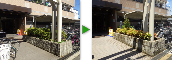 マンション玄関先の植え込みの植栽事例　大阪市城東区