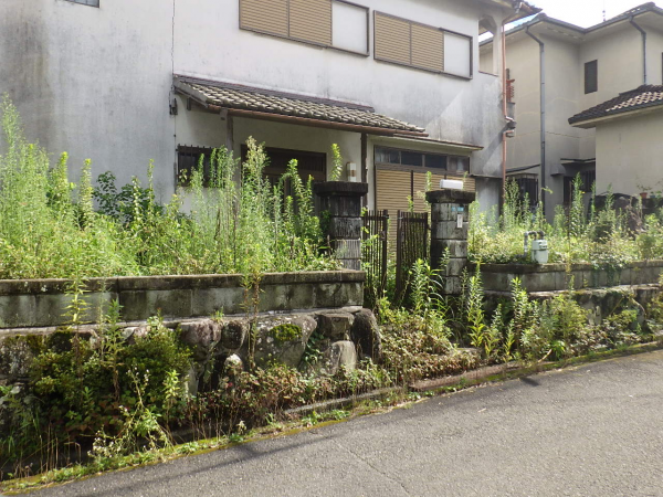 草刈り前